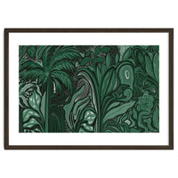 Noctiverdis magnifolia arcana tropical green