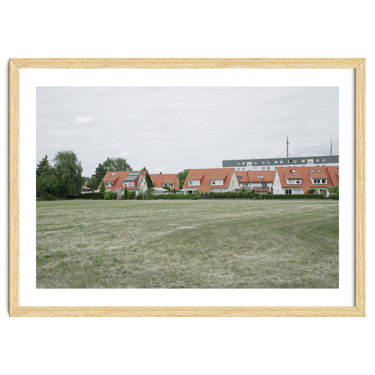 Red roof houses in the green field