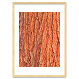 Tree Bark thumbnail