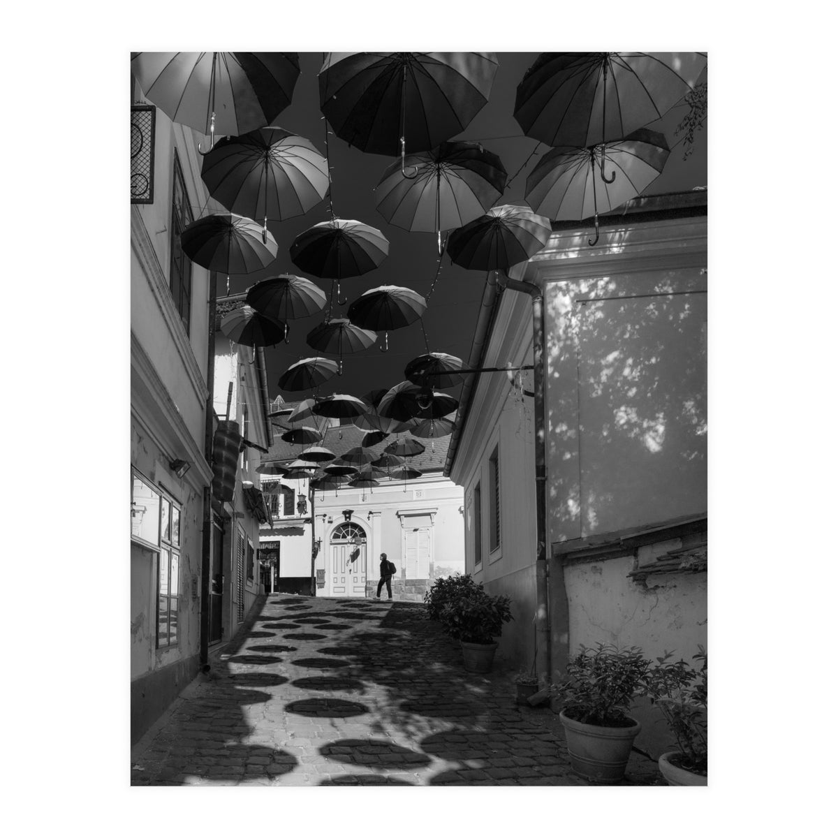 Under umbrellas (Print Only)