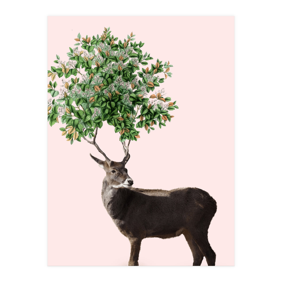 One With Nature V2 (Print Only)