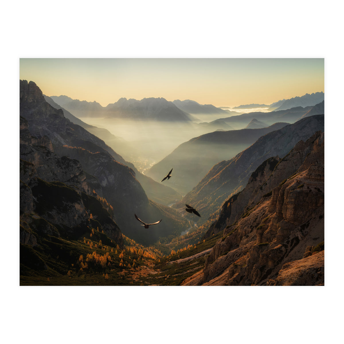 Fly away (Print Only)