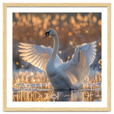 Swan Spreading Wings In Water Sunlight thumbnail
