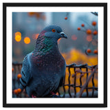 Pigeon With Water Droplets thumbnail