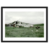 Sheep with a farmhouse - Iceland thumbnail