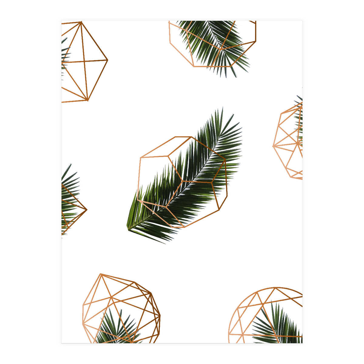 Palm  Geometry V2 (Print Only)