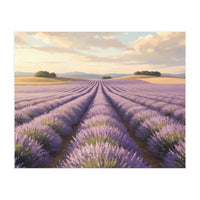 Provençal Sunset: Lavender Field Landscape (Print Only)