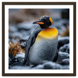 King Penguin In Snow With Water Droplets thumbnail