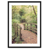 Path To The Bridge thumbnail