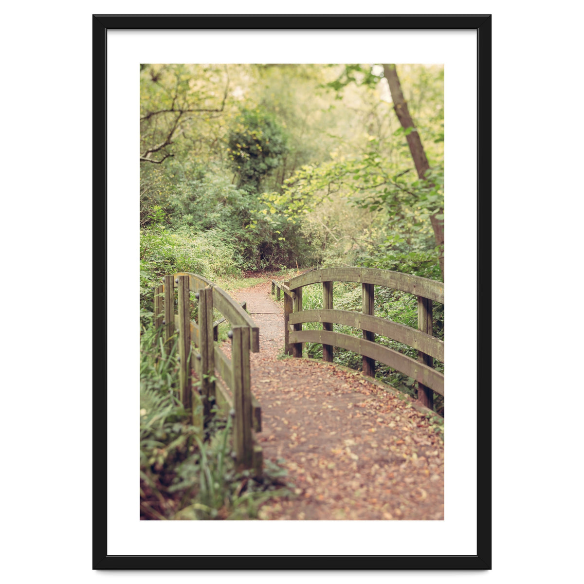 Path To The Bridge