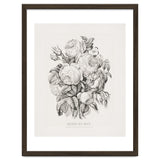 Currier & Ives – Rose of May (1870) thumbnail