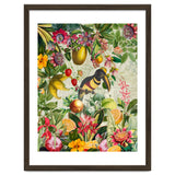 Toucan vintage jungle thumbnail