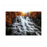 Into the woods (Print Only) thumbnail