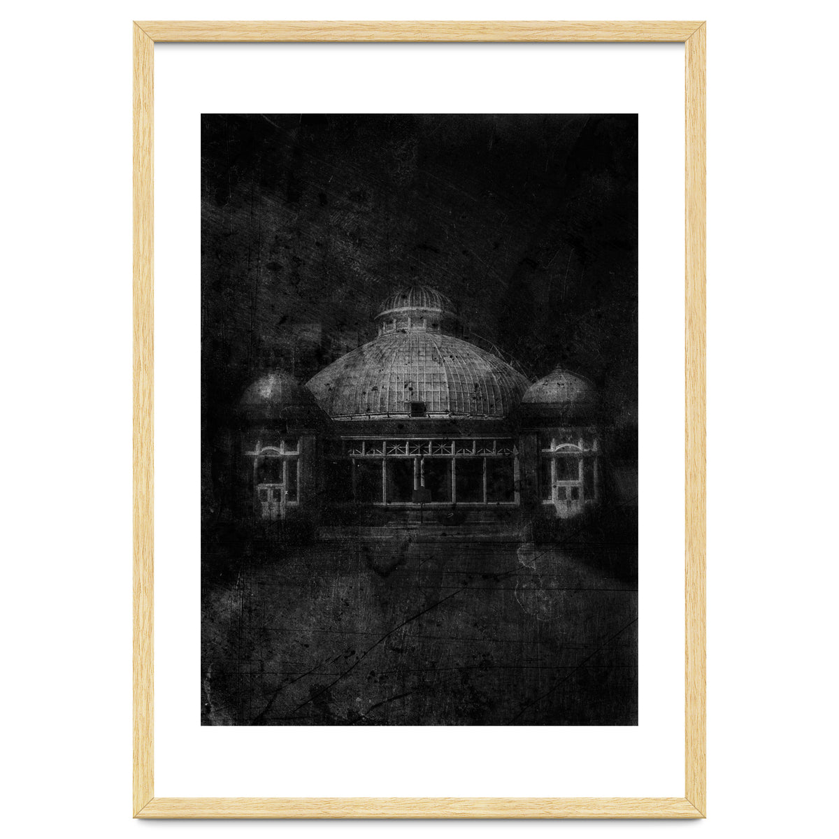 Allan Gardens Conservatory Palm House No 3 Old Film Version