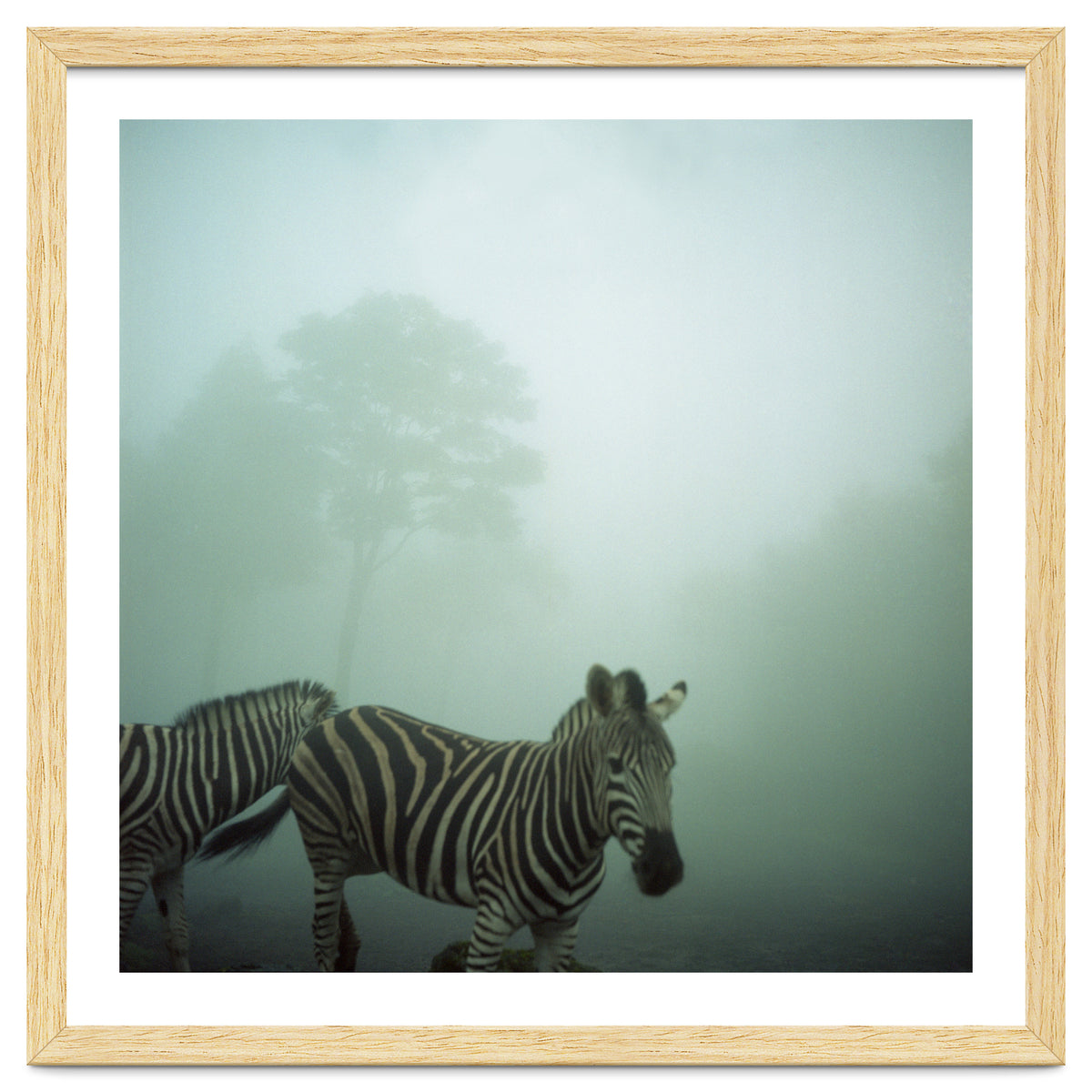 Silence of breath - 16