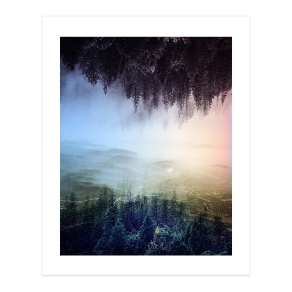 Magic Woods (Print Only)