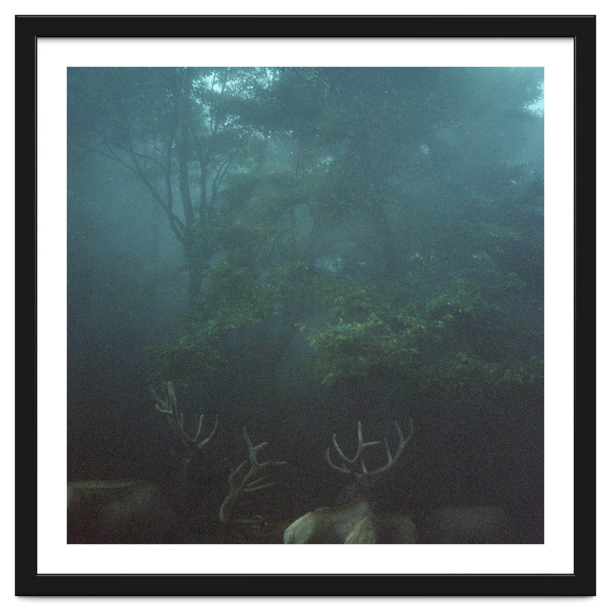 Silence of breath - 12