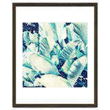 Banana Leaf Crush thumbnail