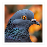 Close Up Of A Pigeon's Head And Neck (Print Only)