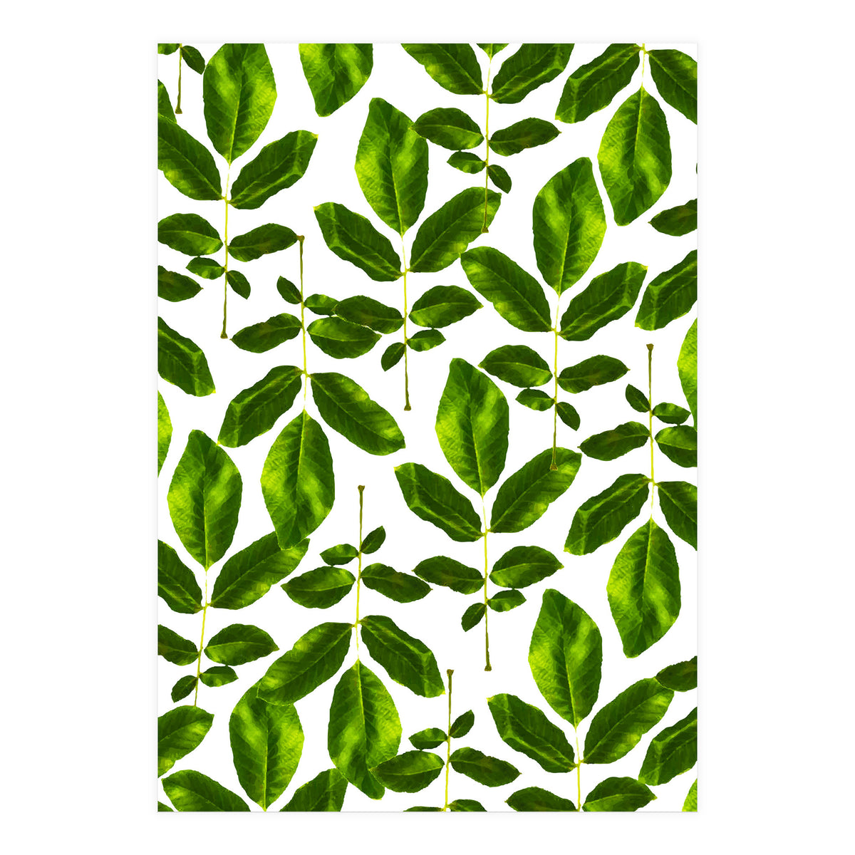 Natural Cure #society6 #decor #buyart (Print Only)