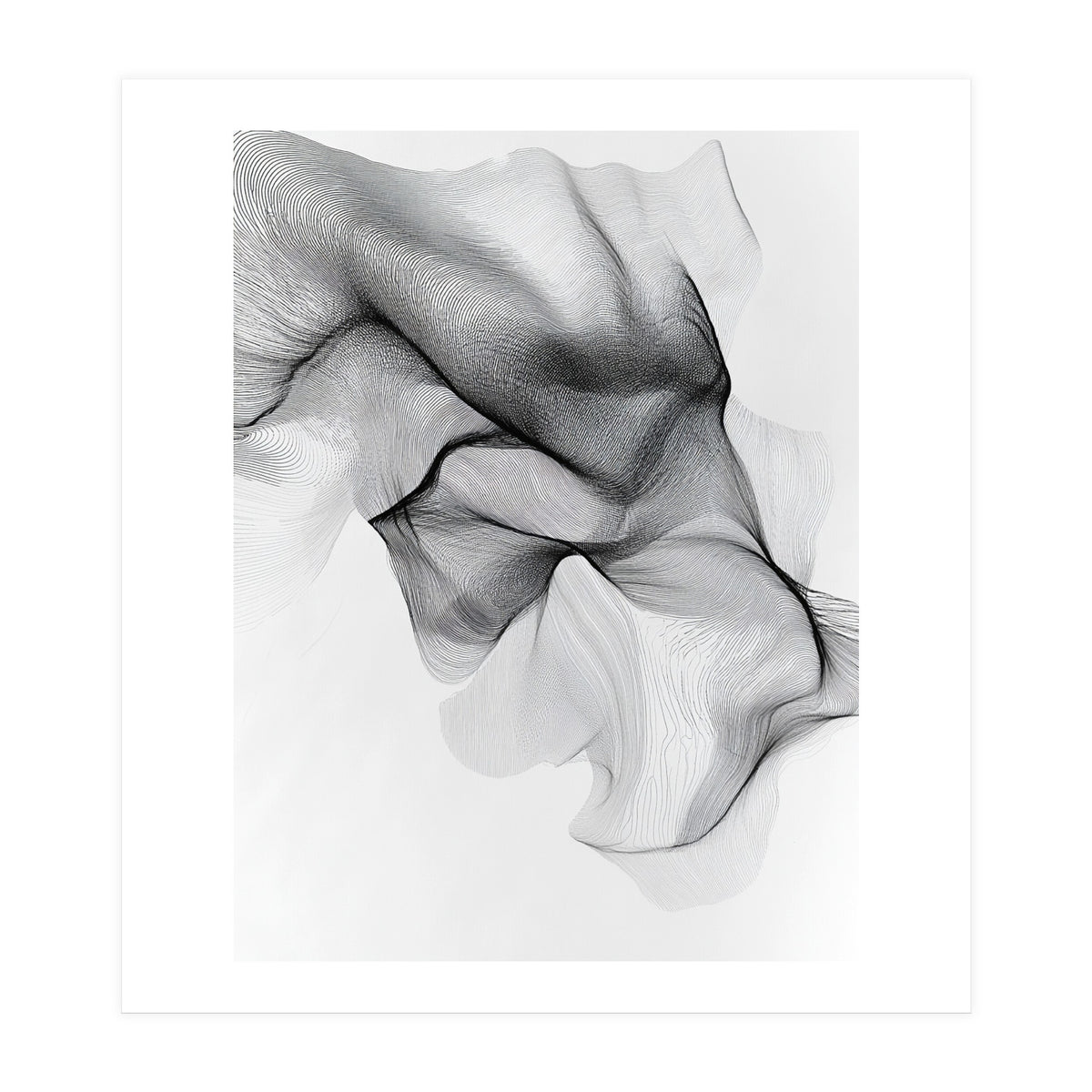 Abstract Black And White Flowing Lines Forming Organic Shapes And Forms (Print Only)