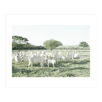 LIVING TOGETHER - WHITE COWS FAMILY (Print Only)