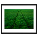 Track and Field thumbnail