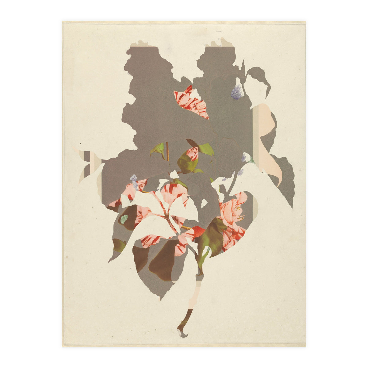 The First Plant · M2 (Print Only)