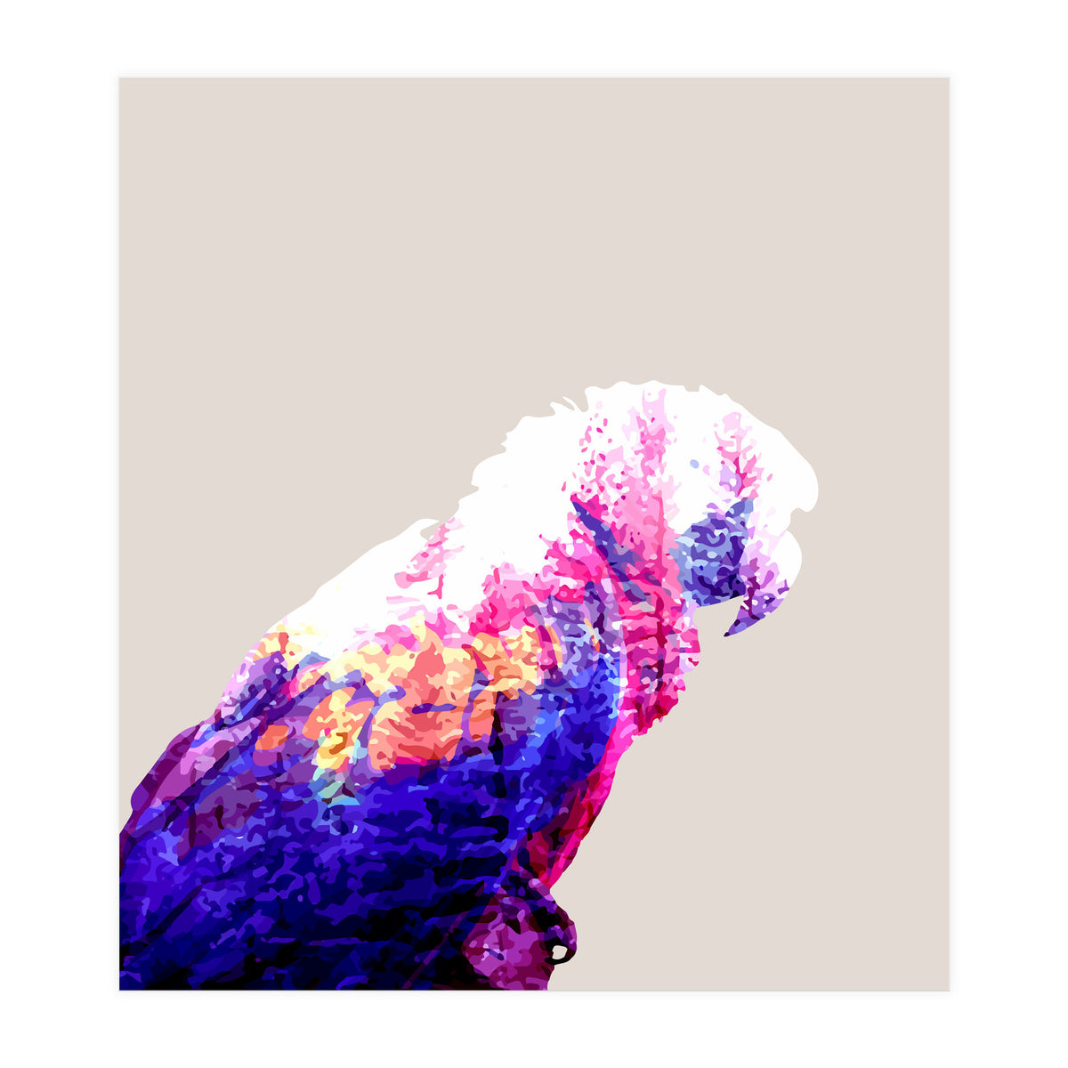 Macaw (Print Only)