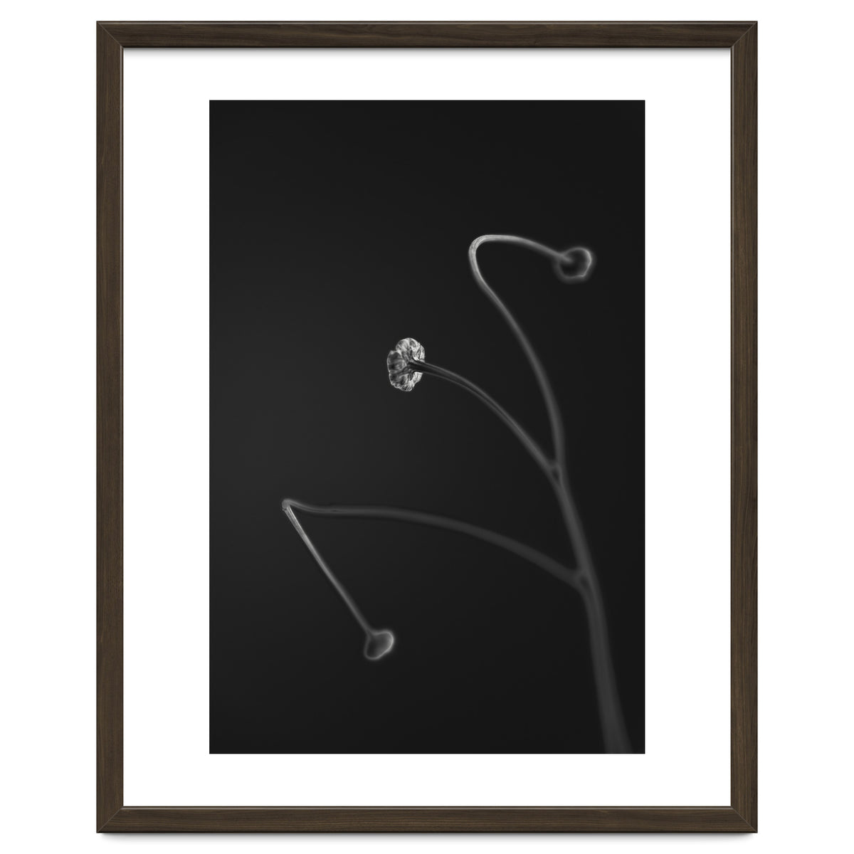 In light of current events VII