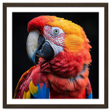 Scarlet Macaw Parrot Close Up Portrait Vivid Colors thumbnail