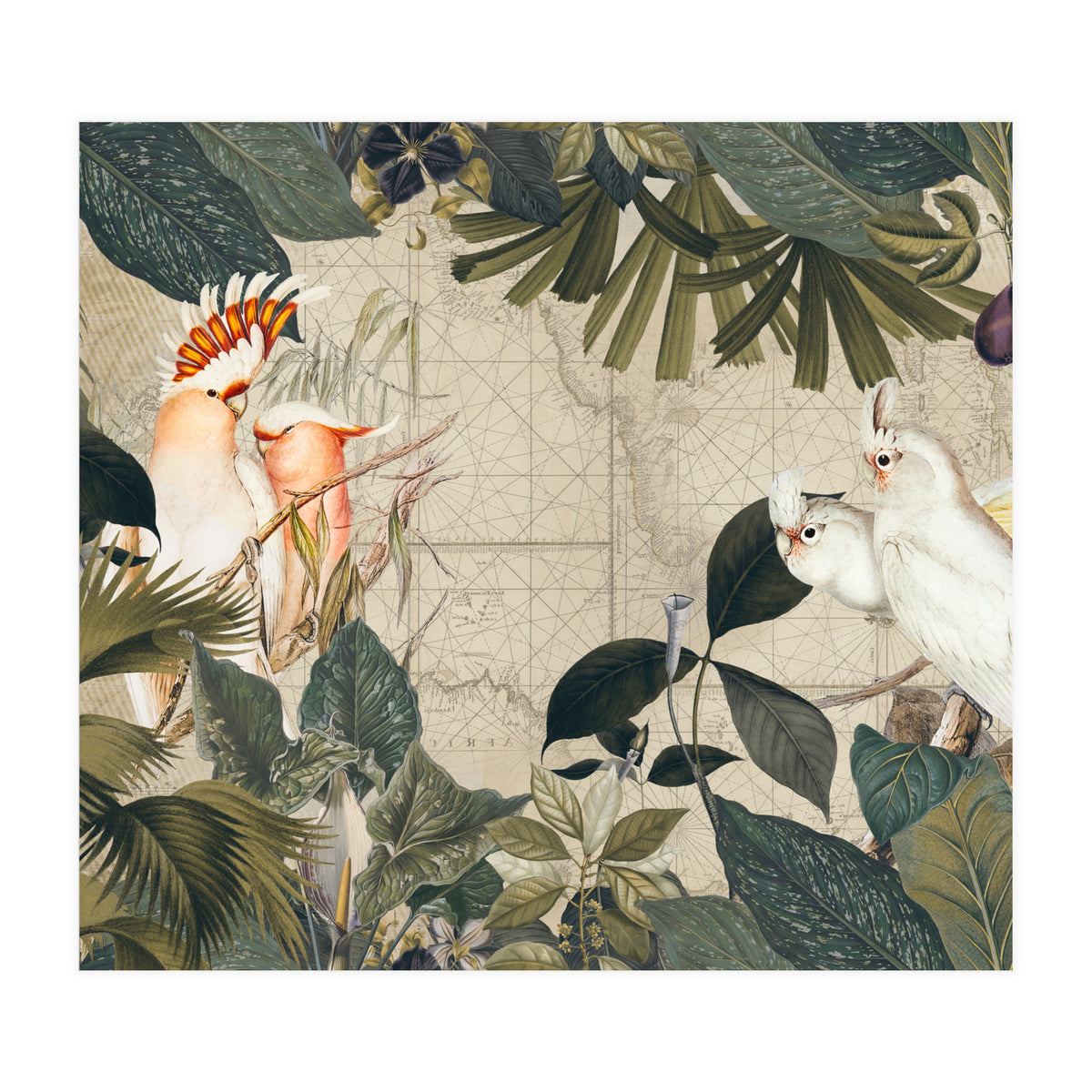 Cockatoo Island (Print Only)