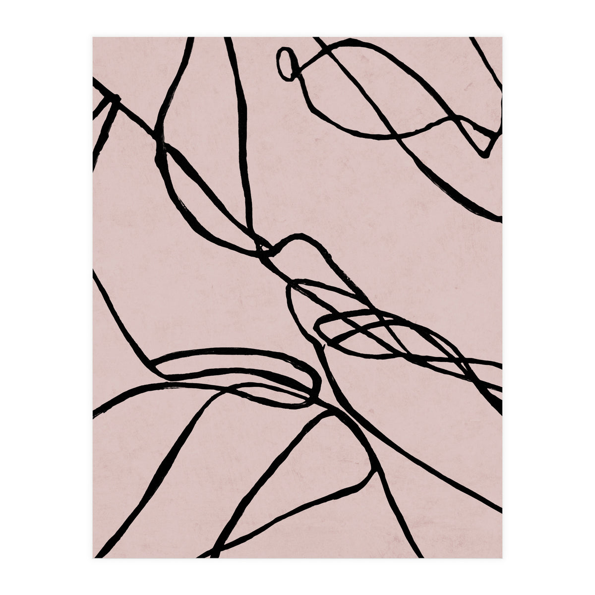 Lines on Rose (Print Only)