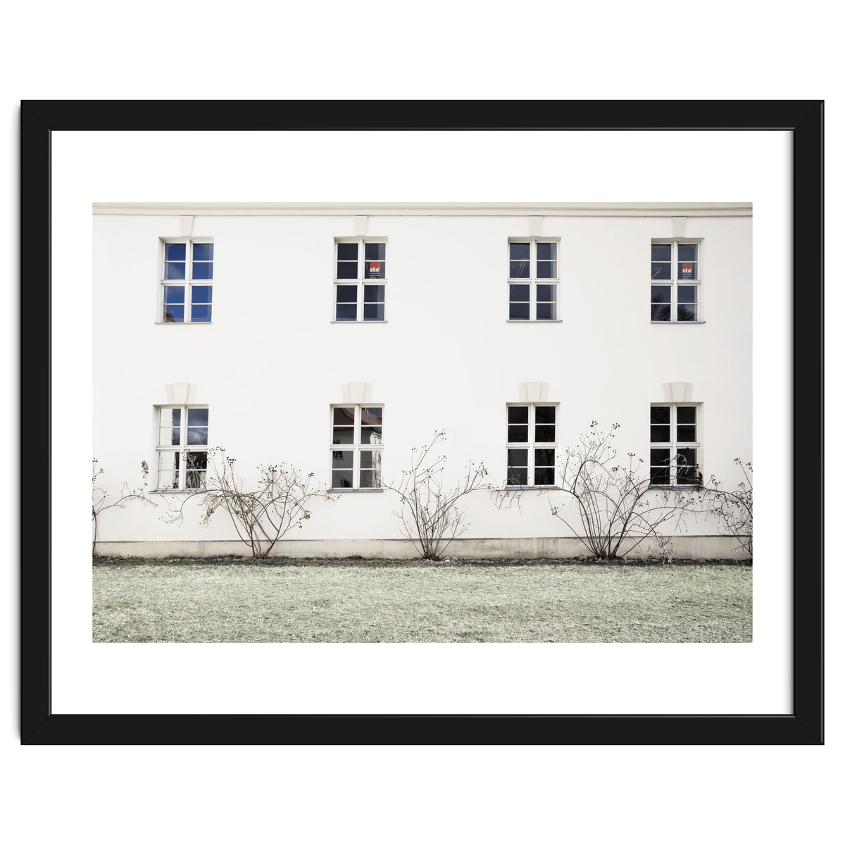 Small trees in between the windows