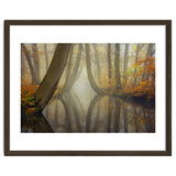 Bent trees in autumn thumbnail
