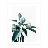 L'amour de ma vie #society6 #decor #buyart (Print Only) thumbnail