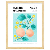 Magical Flowers No.23 Apricot Blossom thumbnail