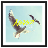 Never Settle thumbnail