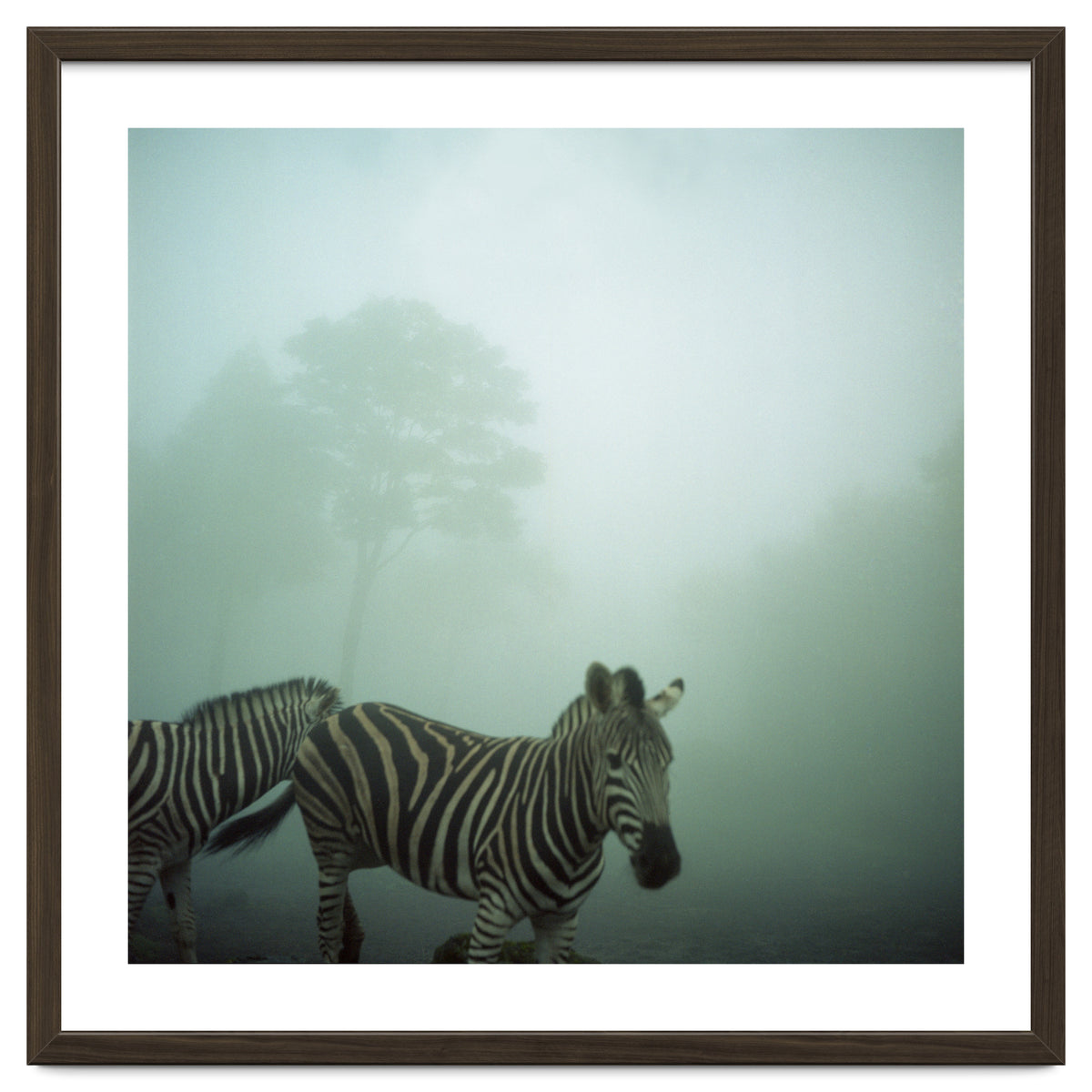 Silence of breath - 16