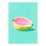 Guava Fruit Illustration (Print Only) thumbnail