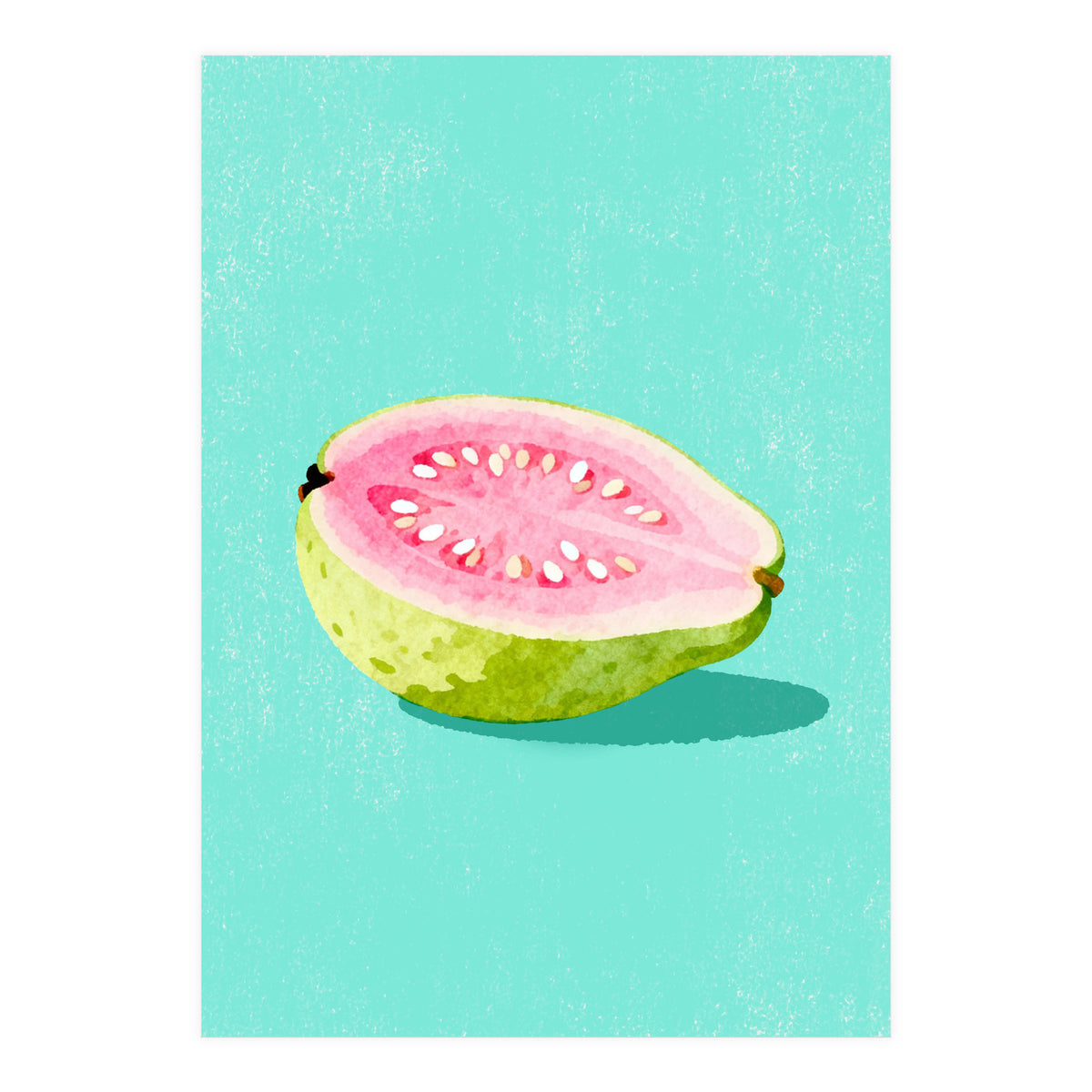 Guava Fruit Illustration (Print Only)