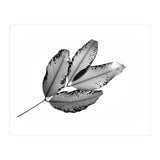 Branches and Leaves, 2016, 1 (Print Only) thumbnail