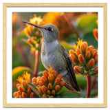 Hummingbird Perched On Orange Flowers thumbnail
