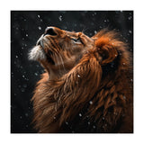 Lion Looking Up In The Snow Majestic (Print Only) thumbnail
