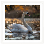Graceful Swan Gliding On Reflective Water Surface thumbnail