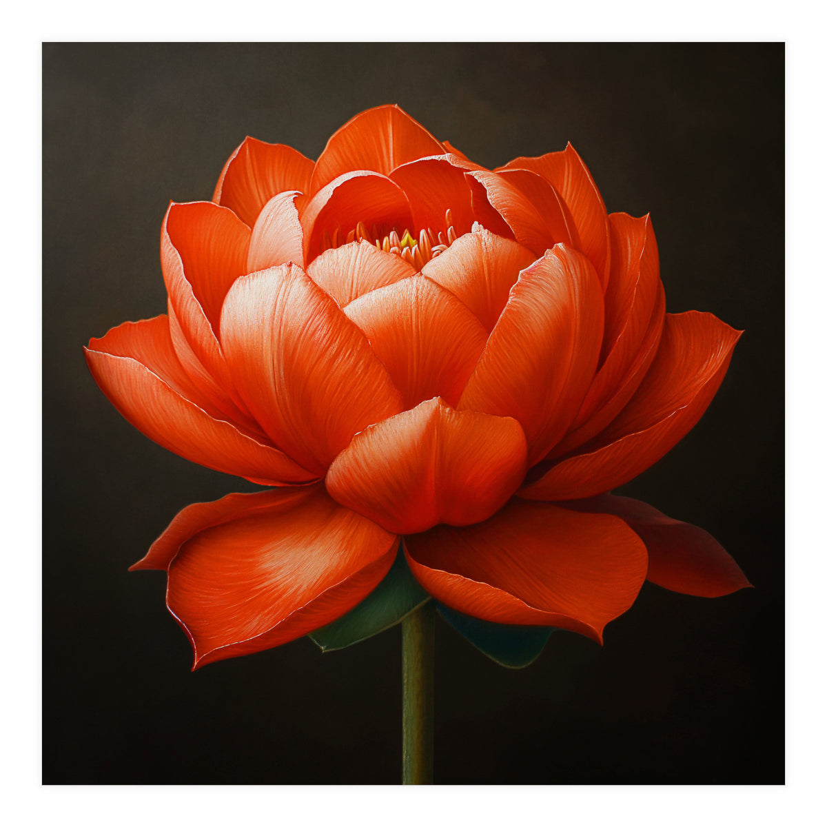 Double Lotus | Scarlet Solace (Print Only)