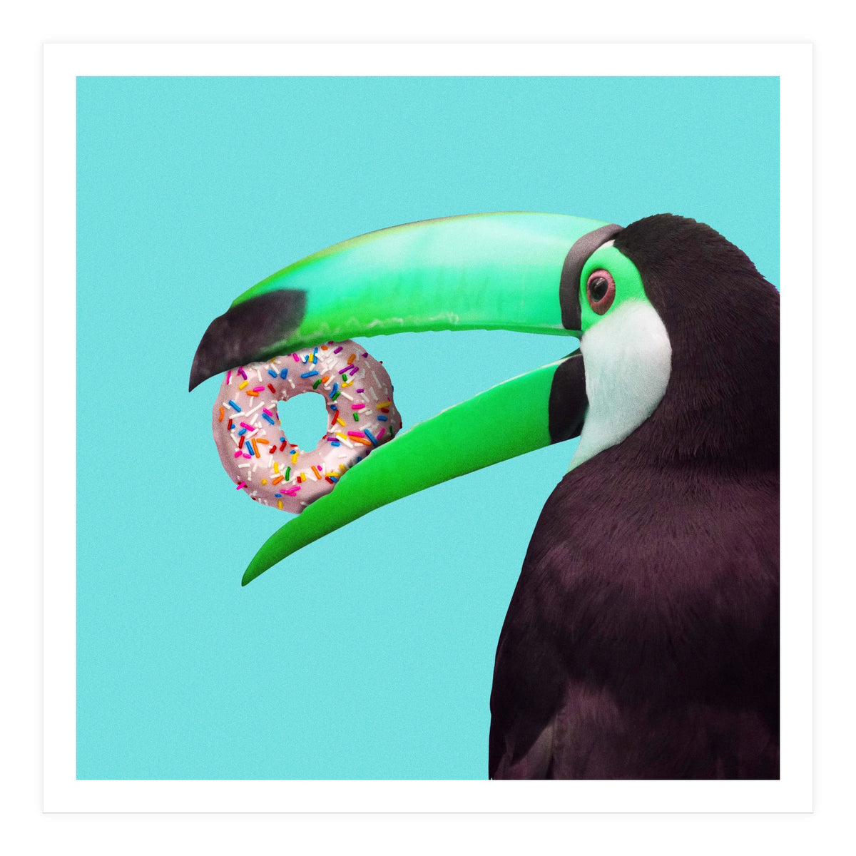 Sweet Toucan (Print Only)