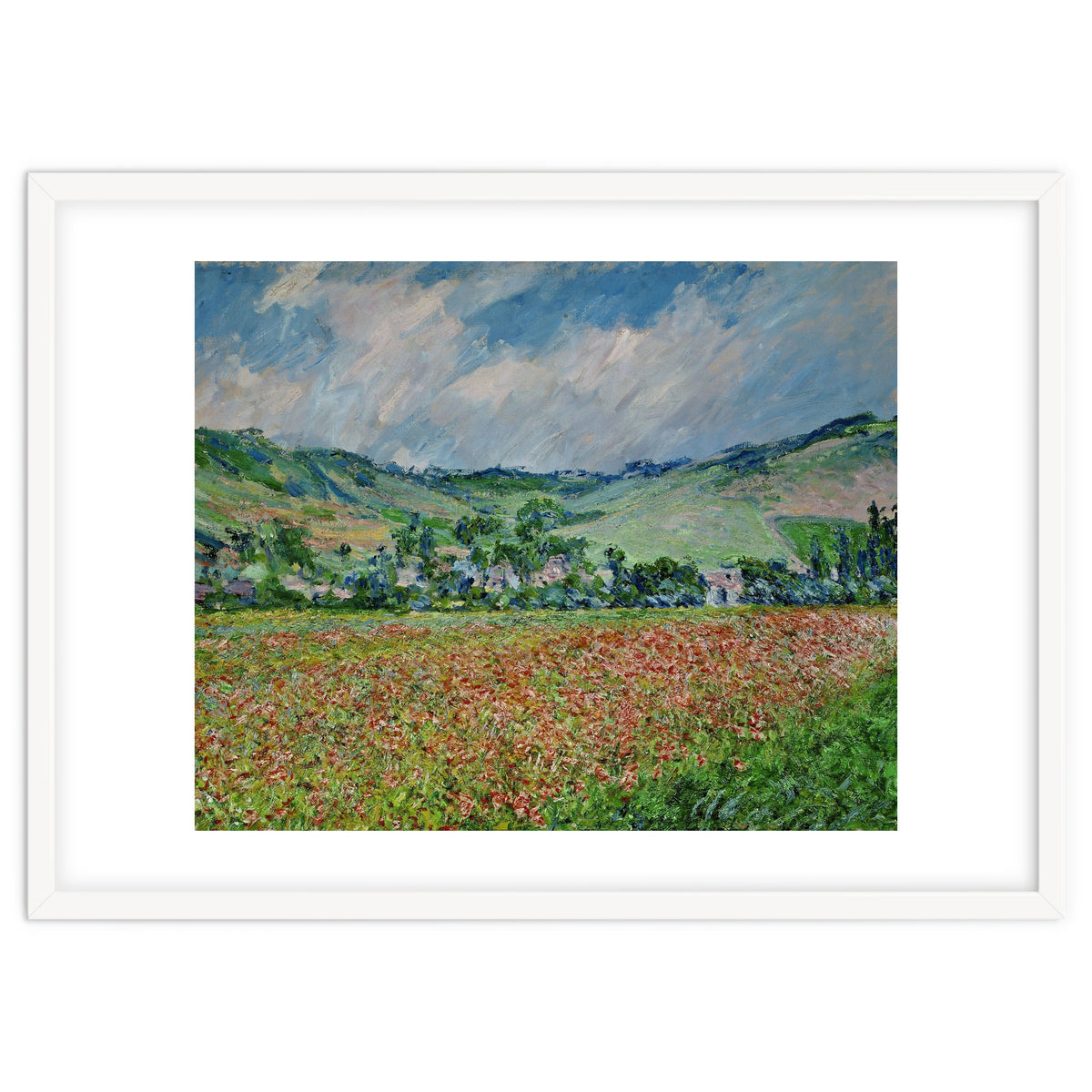 A field of poppies. Canvas.