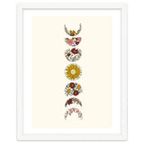 Floral Phases Of The Moon thumbnail
