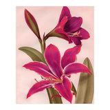 Vintage Floral (Print Only) thumbnail
